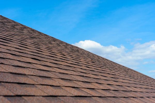 Roof Inspection Roof Inspection